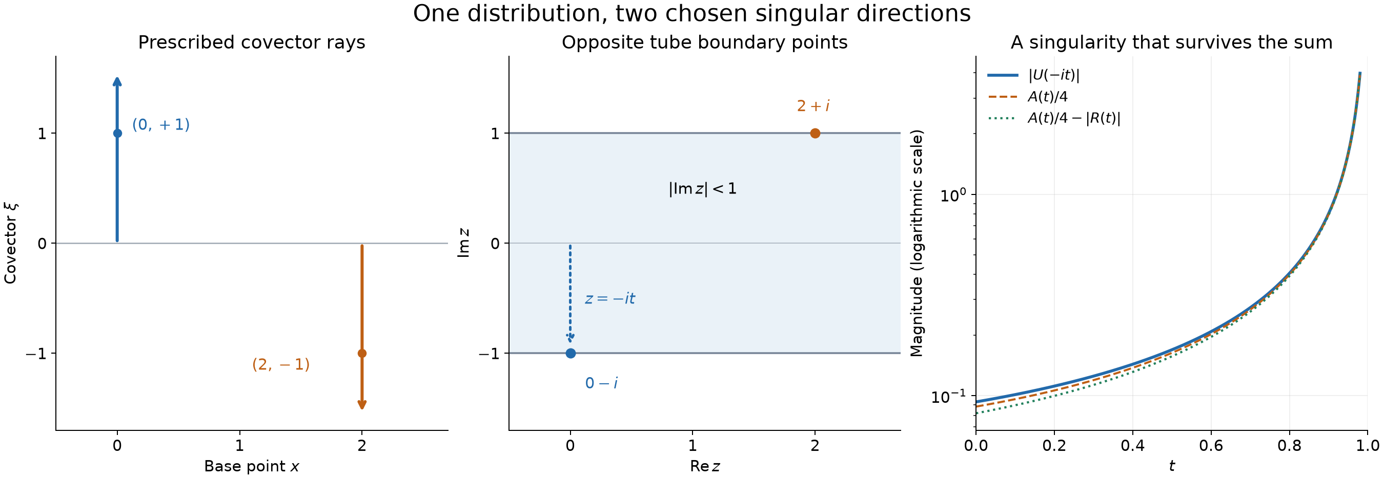 Two prescribed covector rays, opposite tube boundary points, and a quantitative blow-up curve