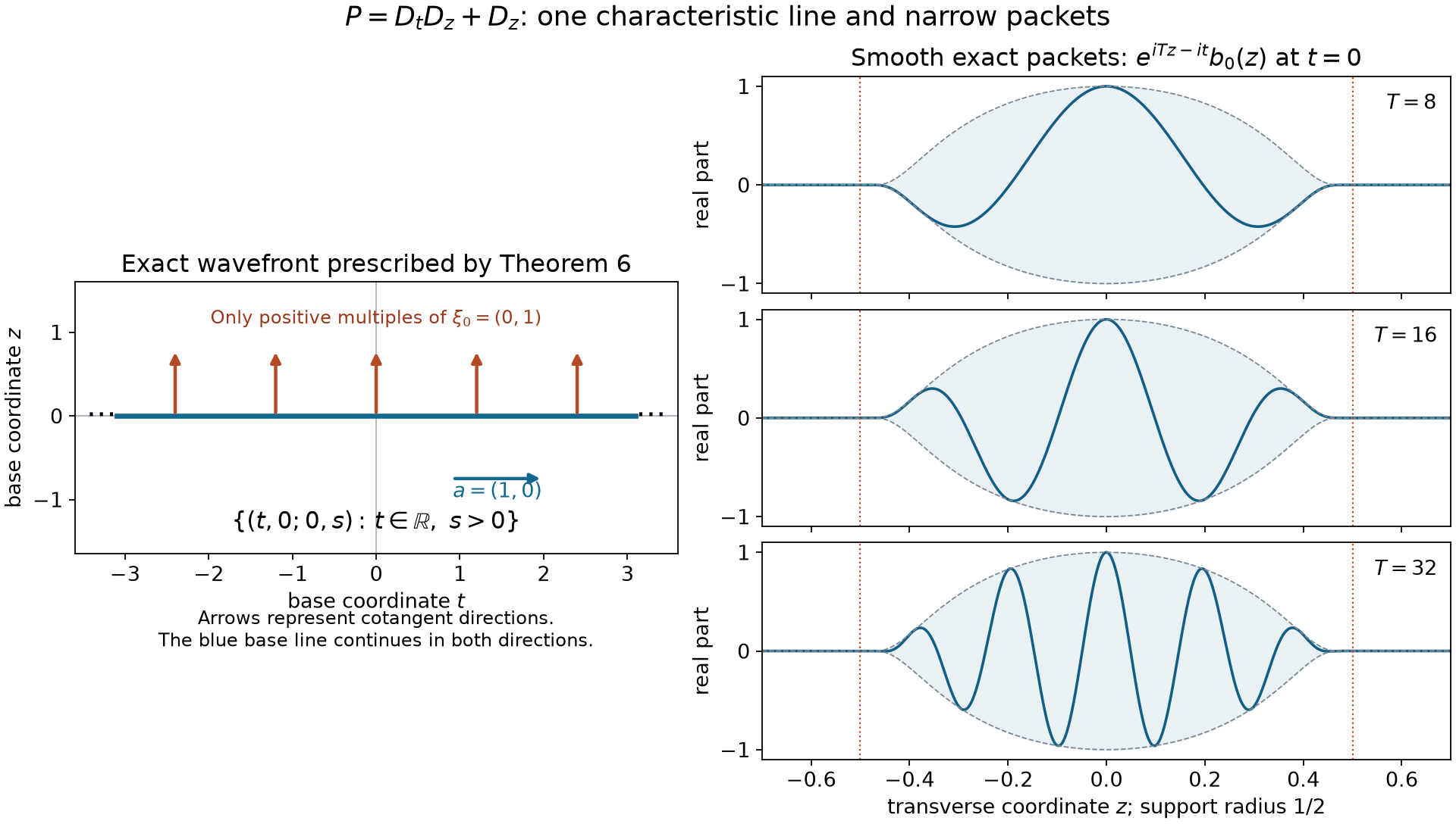 A characteristic line, its single positive covector ray, and narrow transport packets