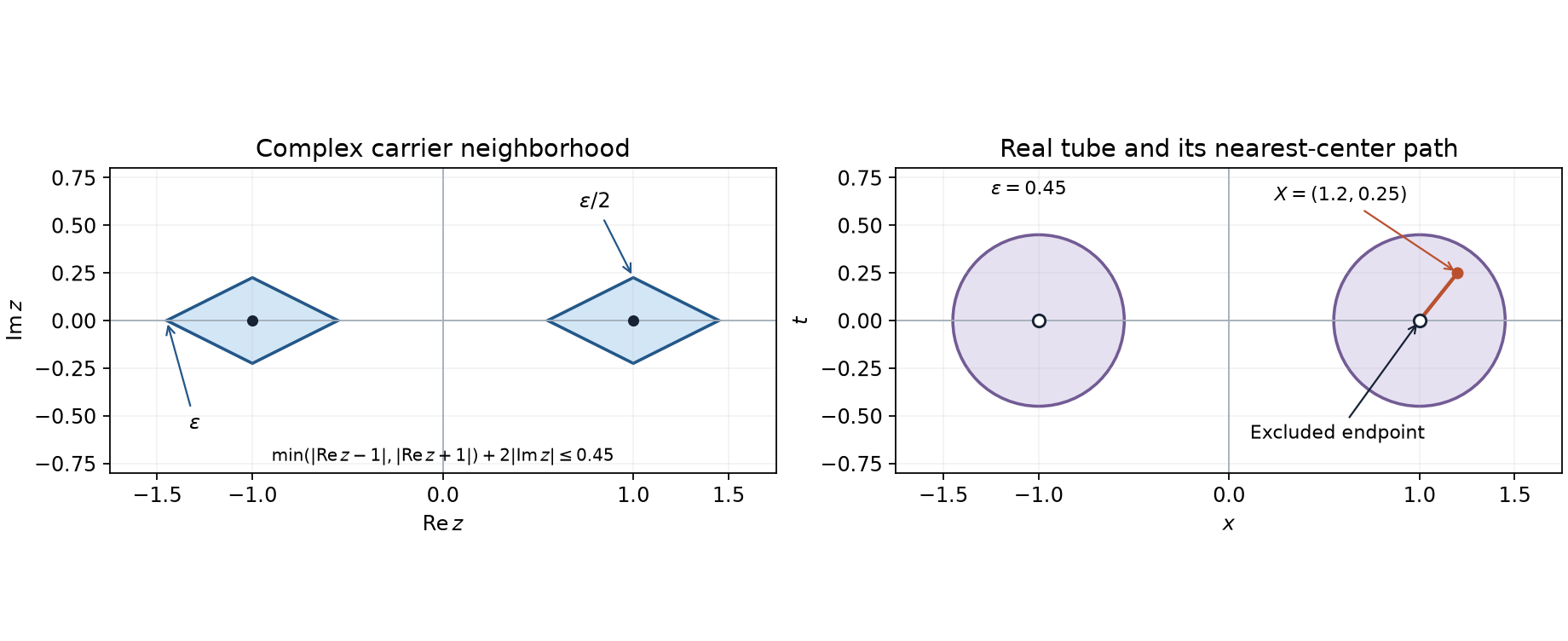 A complex carrier neighborhood and a real tube with a path to an excluded center