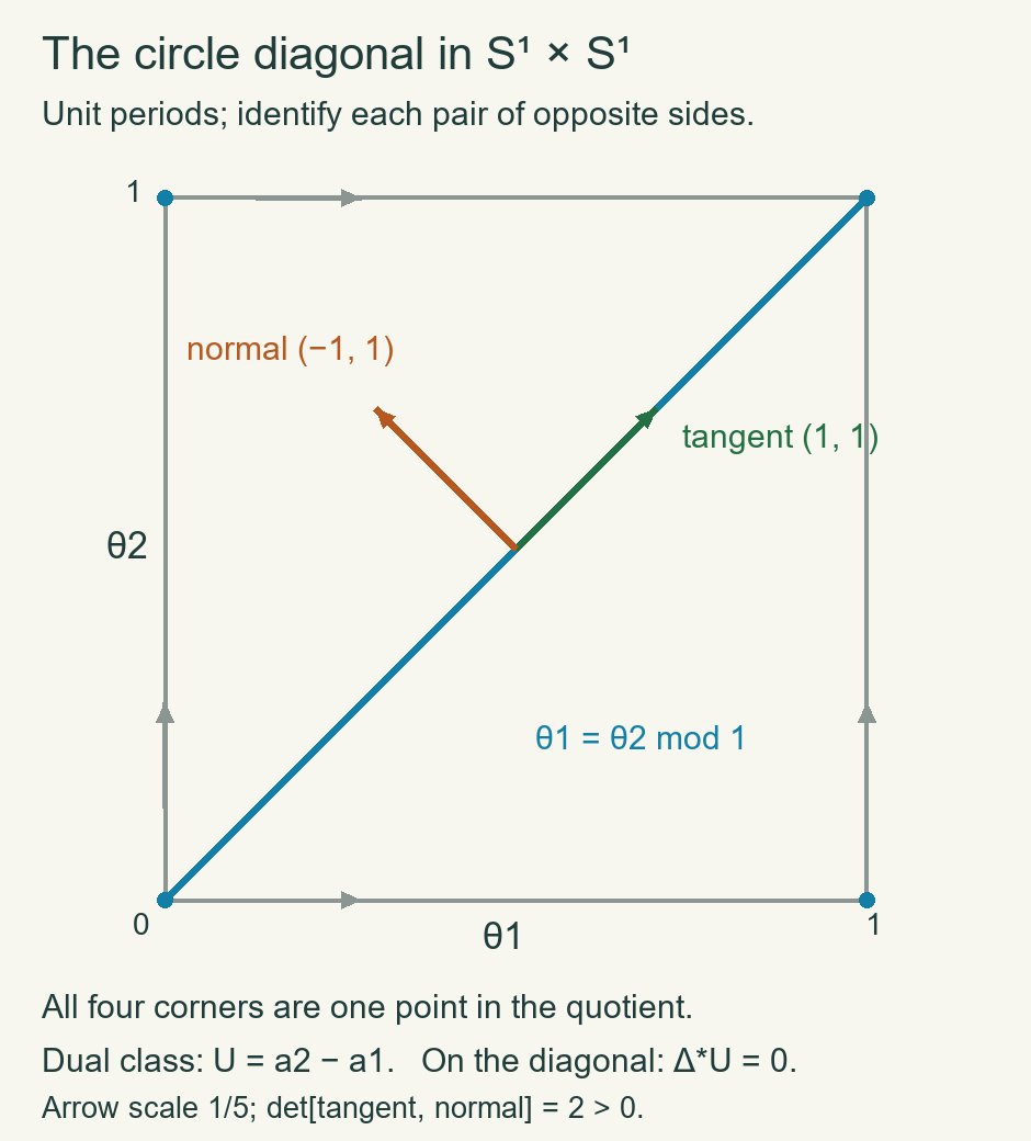 The circle diagonal in a unit fundamental square of the product torus; opposite sides are identified, the tangent direction is (1,1), and the positively oriented normal direction is (-1,1).