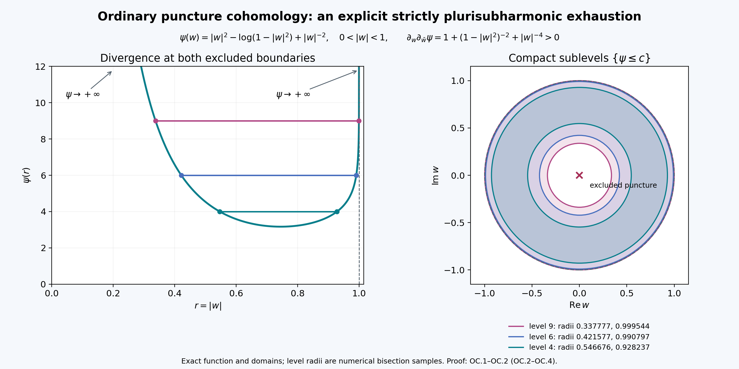 An explicit strictly plurisubharmonic exhaustion on a punctured disc