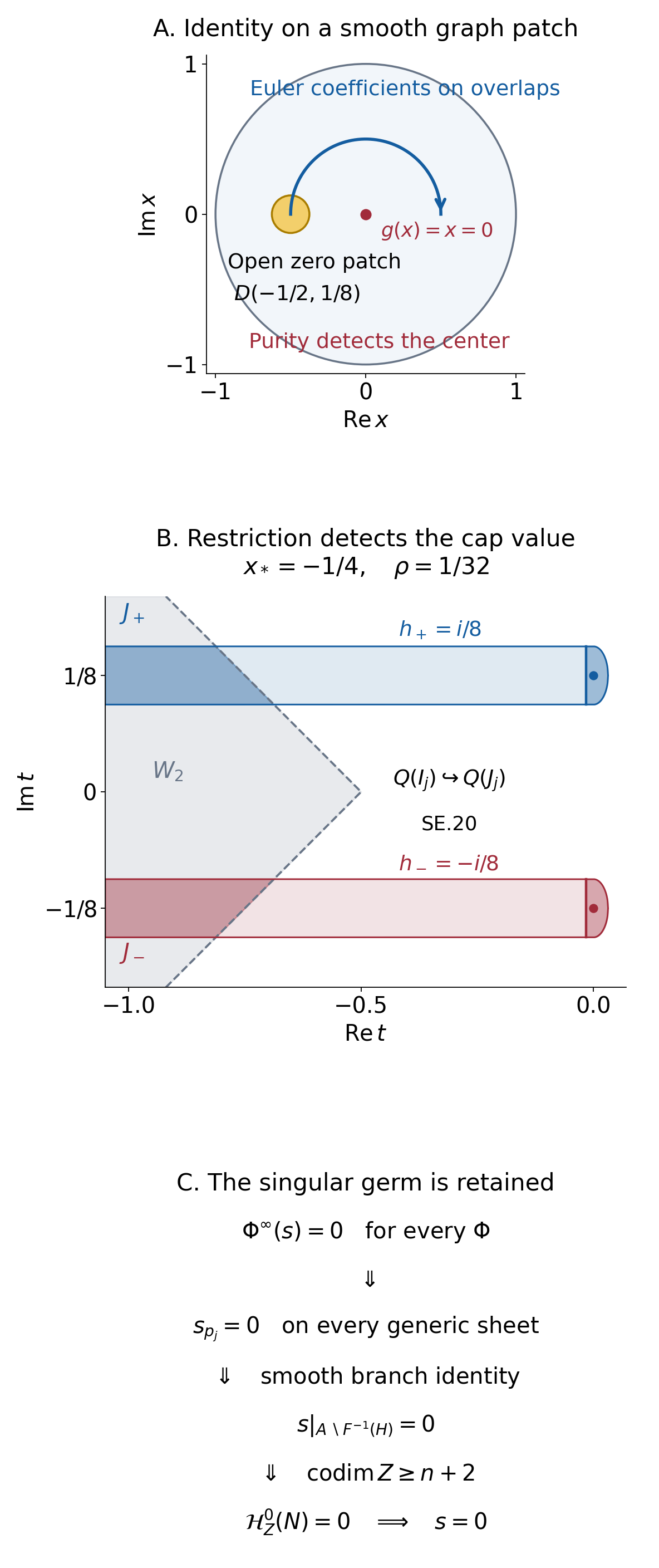 Smooth-branch identity, injective cap restriction and singular support purity
