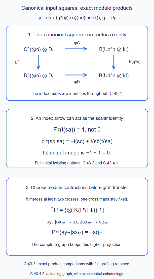 The canonical bar-cobar unit and shuffle give an exact common-core indexed naturality square; the full unital functor retains scalar index outputs; module-first transfer keeps exact product comparisons and the nonzero two-cross projection