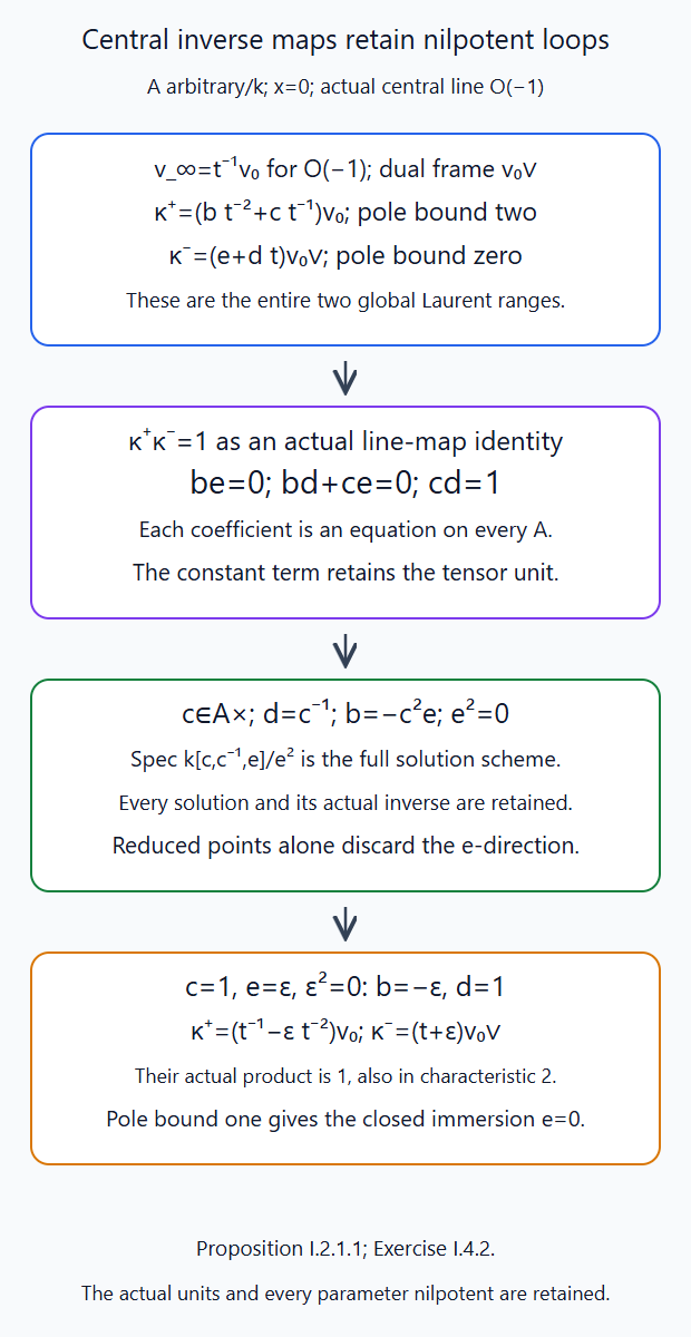 Actual central inverse equations produce a square-zero torus direction and its closed lower-pole-bound immersion