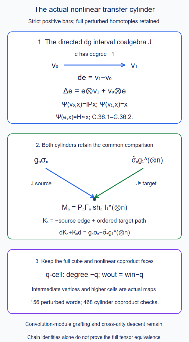 The directed interval coalgebra retains the actual retract and identity endpoints and perturbed homotopy; the transferred shuffle comparison is a span of source and target coalgebra cylinders through one common endpoint; tensor cubes retain every graded face and nonlinear coproduct