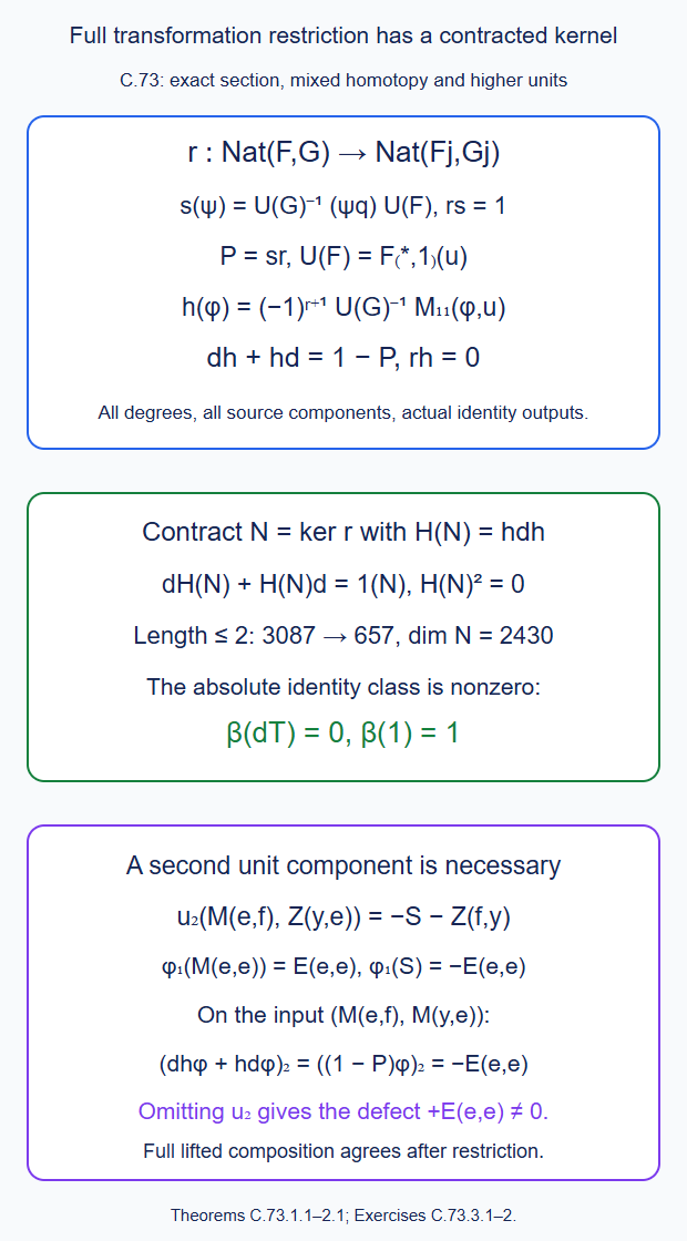 Full transformation restriction has an exact section and a contracted kernel; the full Nat space retains its identity cohomology class