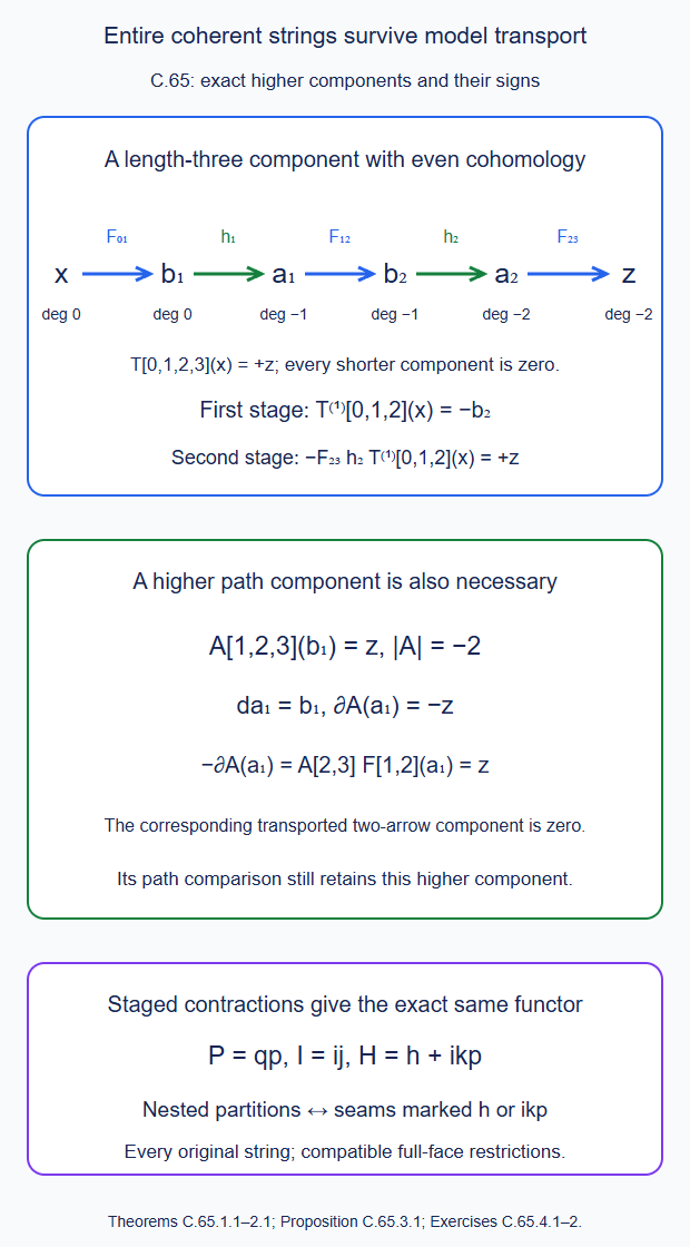 The full length-three transport survives staged contractions; its higher path component satisfies the prescribed edge path equation