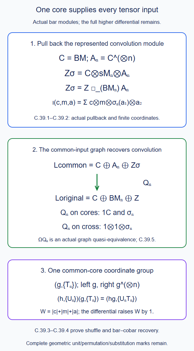 One IC core supplies every tensor bar input; the actual cofree convolution module pulls back along the transferred shuffle; its triangular coalgebra maps by a quasi-isomorphism to the original graph and the common-core coordinate group composes with literal tensor powers