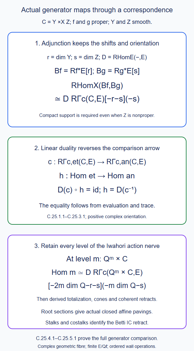 The actual correspondence Hom formula retains dimensions and twists; its forward Betti map is the dual of the inverse compact comparison; every Iwahori nerve level is retained