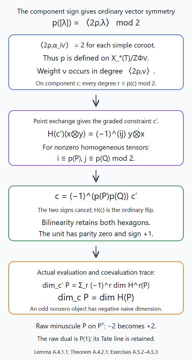 Weight cohomology has the component parity, whose scalar adjustment cancels the graded interchange sign and makes categorical dimension positive