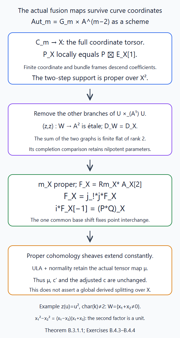 Finite coordinate torsors and all-ring graph completions identify the actual curve fusion with its affine model