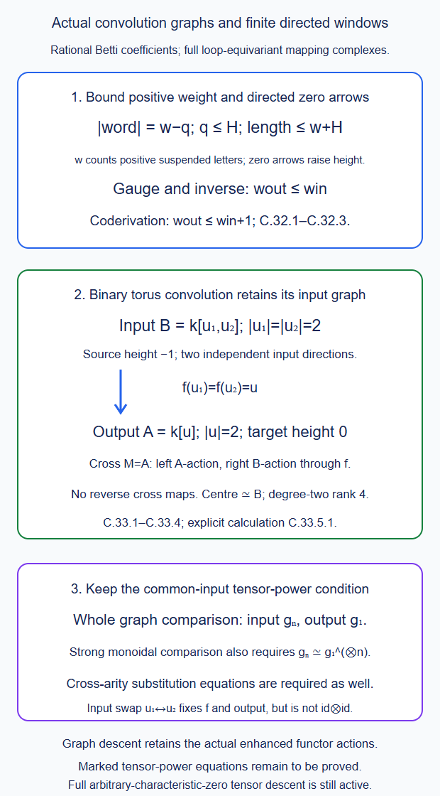 Directed degree-zero arrows have bounded length and positive-weight windows preserve the actual coalgebra maps; the binary convolution graph retains the input polynomial algebra, output algebra and its representable cross action; a separate tensor-power condition is required