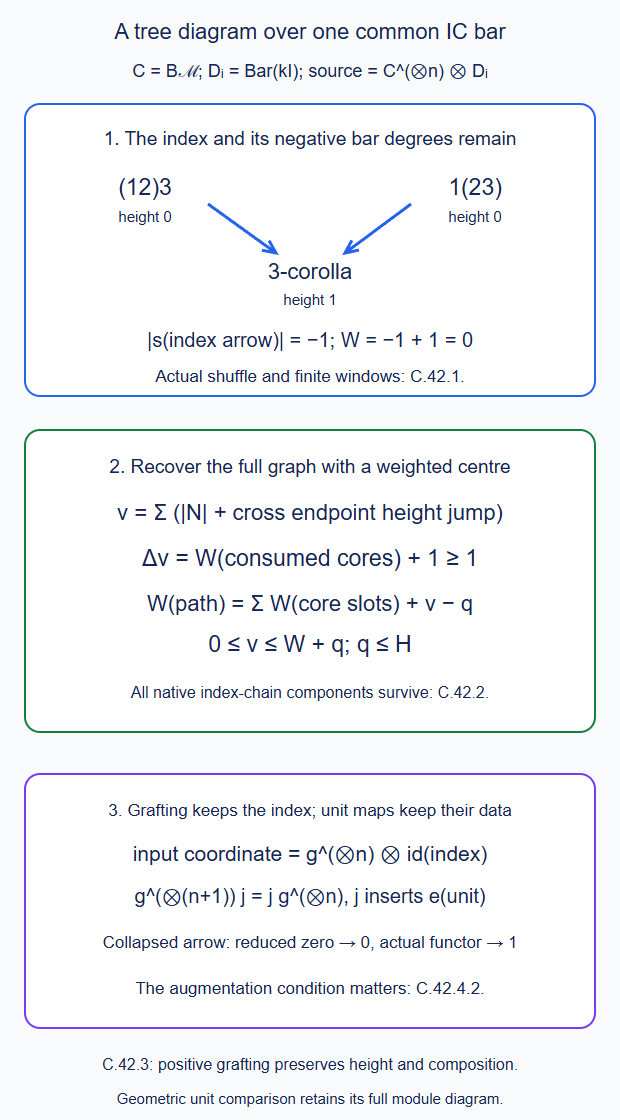 The native ordered-tree index keeps its negative suspended arrow degrees; weighted central height proves common-core graph recovery; positive grafting preserves the fixed index, while a collapsed arrow requires its actual unital map