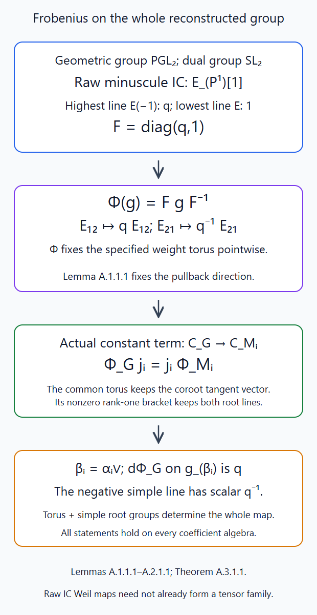 The minuscule projective-line Frobenius operator gives the positive and negative root scalars, and the actual constant-term comparison transfers them to every simple Levi