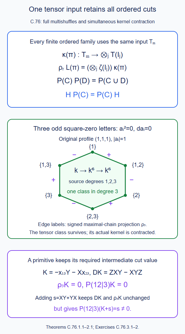 The common finite-factor tensor input retains strict regrouping, the Boolean orientation class and one contraction compatible with every ordered cut
