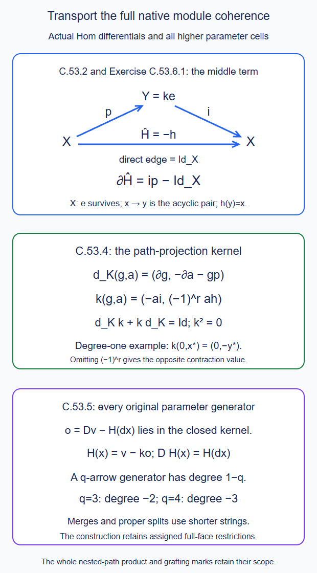 The middle-vertex homotopy corrects a transported triangle;the path-projection kernel contraction carries the homogeneous sign;all higher parameter generators are corrected in the full module complex