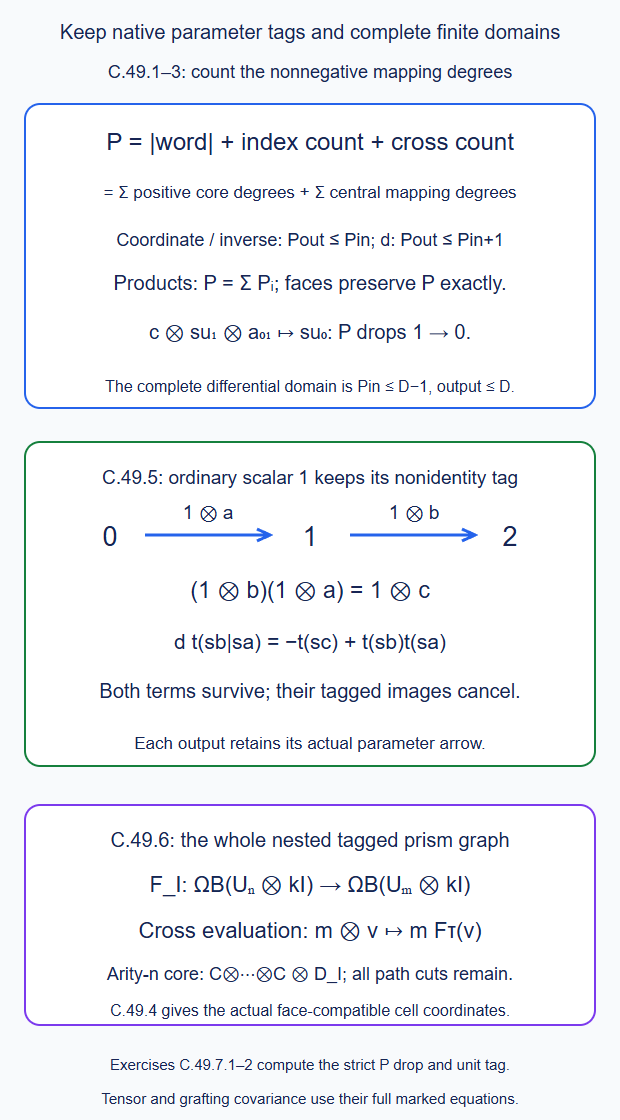 The nonnegative mapping-degree filtration retains complete finite differential and product domains; actual scalar unit outputs keep their parameter tags; the canonical tagged representatives form the entire nested common-core prism graph