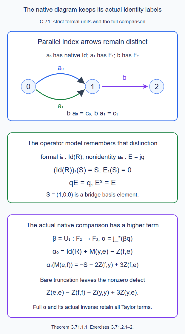 The actual native diagram retains parallel labels and distinguishes formal identities from identity-valued positive arrows; its comparison includes the displayed higher component