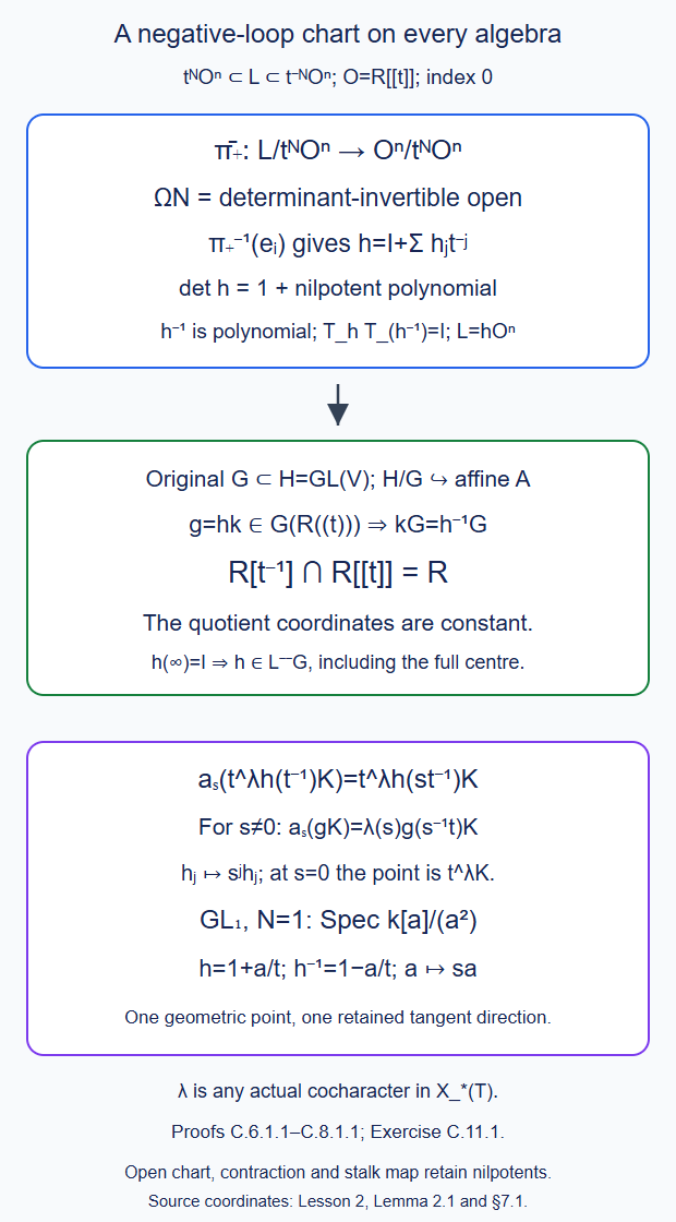 The determinant-invertible lattice projection constructs an actual negative-loop chart and its contraction while retaining nilpotent parameters