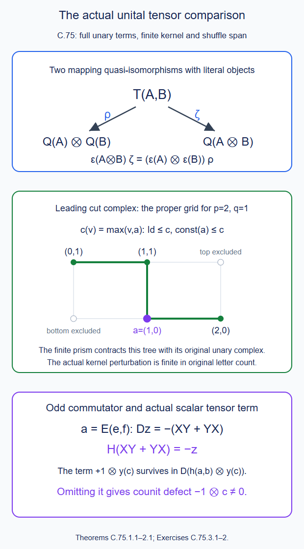 The actual normalized tensor span, the proper grid contraction with full unary terms, and the scalar tensor term required by the counit chain equation