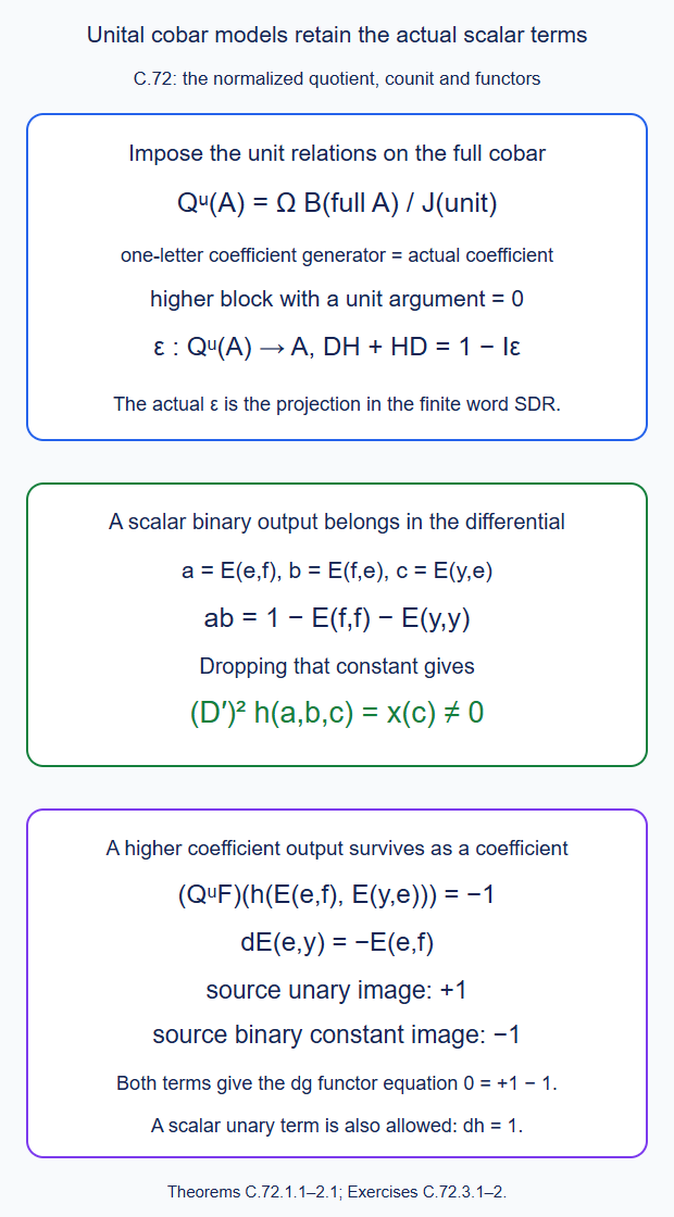 The normalized unital resolution retains scalar product and unary constants; omitting the displayed higher coefficient value breaks the dg functor equation
