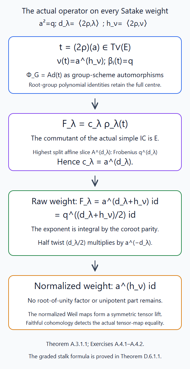 The highest affine slice fixes the scalar relating Frobenius to the dual torus element, yielding the actual scalar operator on every raw and normalized weight