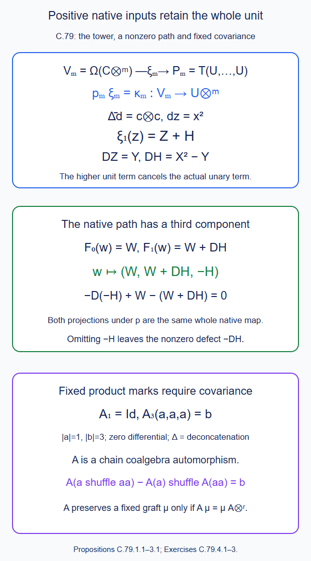 The nonprimitive positive unit retains its higher term; an actual native path retains its third component, and a chain coalgebra map has a separate fixed-covariance equation