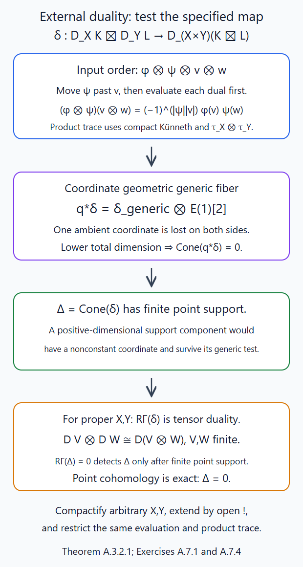 The external-duality evaluation, coordinate-generic tests and finite-support cone detection