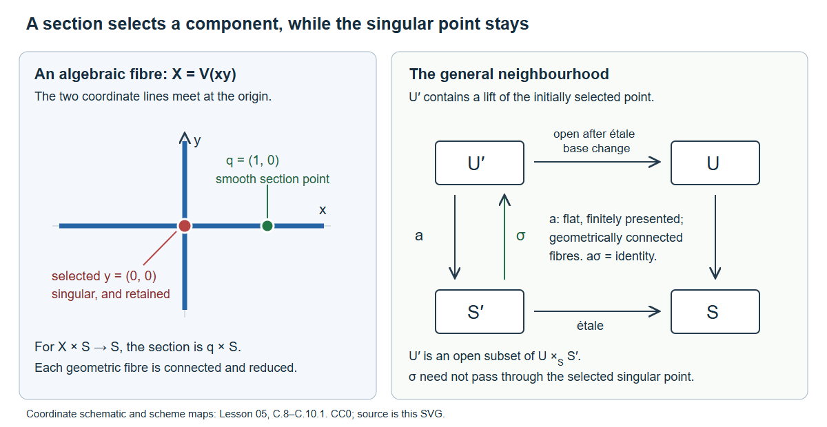 A section retains a selected singular point in its connected fibre