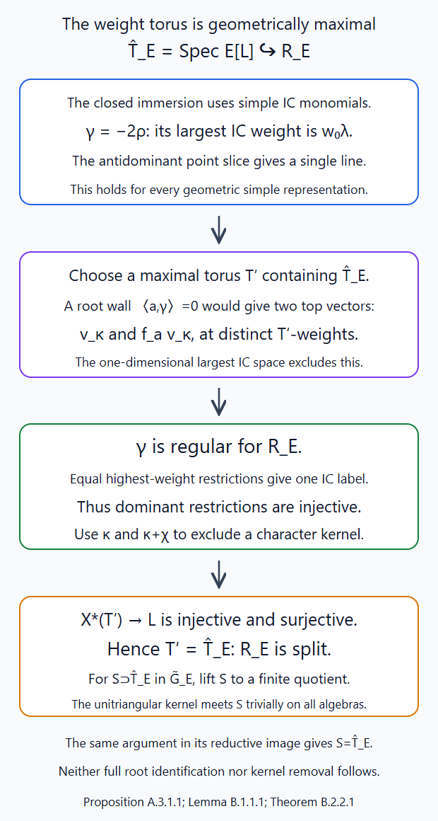 The largest IC line forces regularity and an isomorphism on character lattices, proving maximality of the closed weight torus