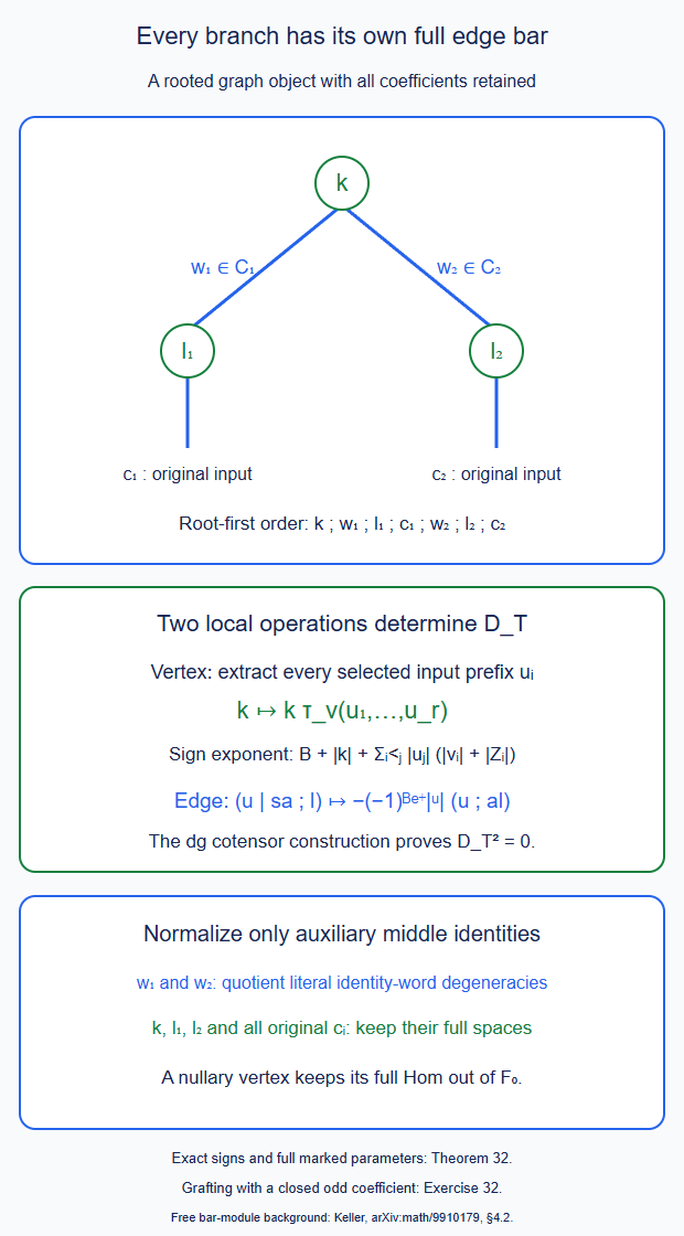 The root-first coordinate of a branching tree keeps one full coefficient at every vertex, one auxiliary full bar at each internal edge, and all original input bars.