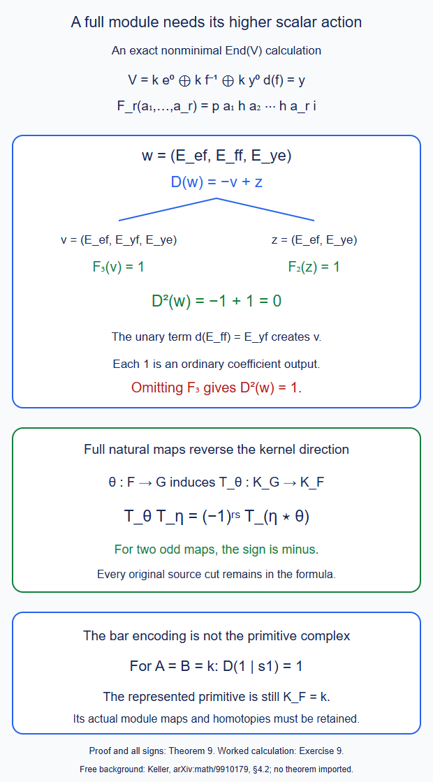 A complete higher module differential, the graded opposite transport sign, and the distinction between the bar encoding and its primitive complex.