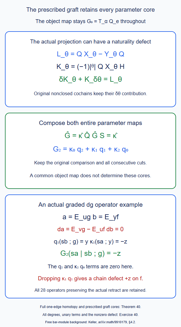 The prescribed graph projection has a full naturality homotopy; composing its complete parameter map with the original native comparison retains all three second-core cuts, including a necessary mixed term.