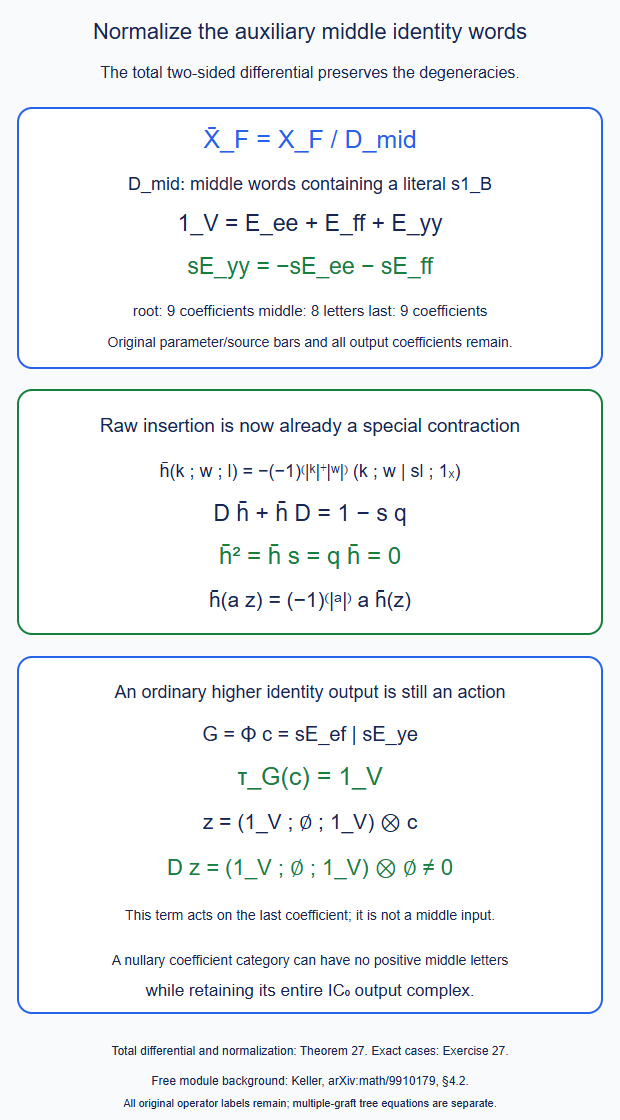 The auxiliary middle identity quotient makes raw insertion square zero, keeps all endpoint coefficients and original bars, and retains actual higher ordinary-unit actions.