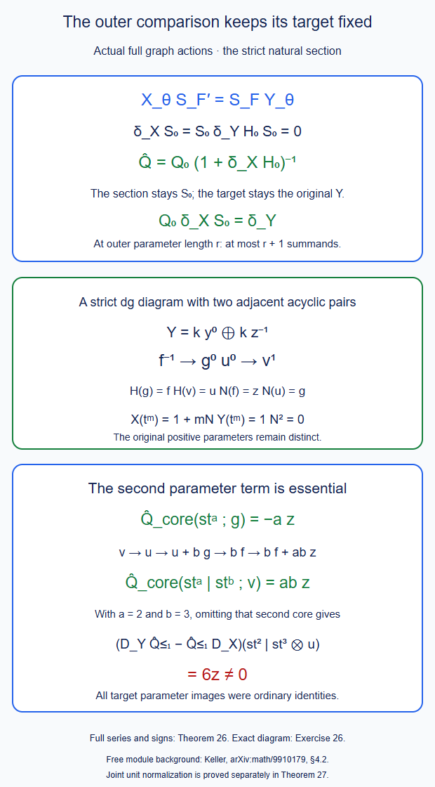 The strict natural unit section keeps the target operator diagram fixed, while the full projection series has an essential nonzero second parameter component.