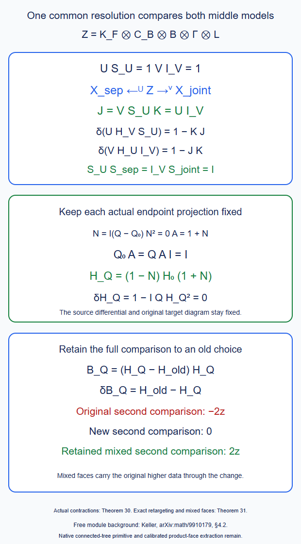 The common double resolution gives the actual shuffle and its inverse, and endpoint-preserving retargeting keeps every original projection while retaining the full old/new comparison.