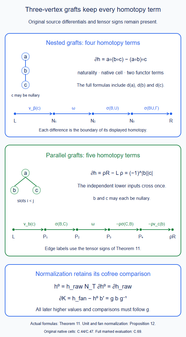 The four nested and five parallel three-vertex homotopy terms, with their retained normalization comparison.
