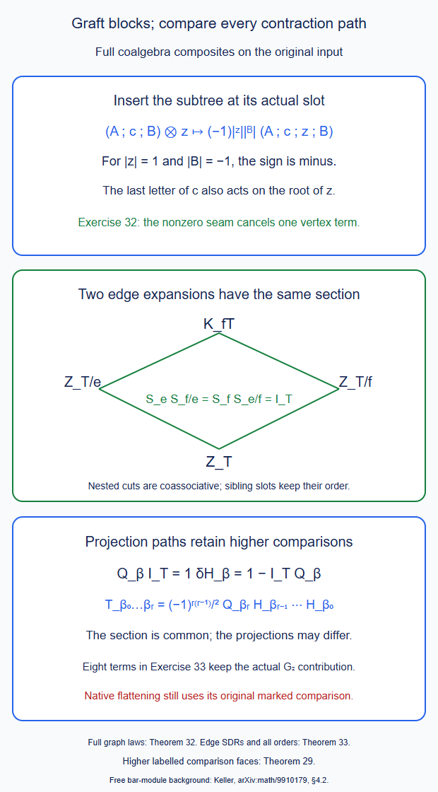A literal graft inserts the subtree with its block permutation sign; two edge expansions give the same section while their projection paths retain their higher comparison.