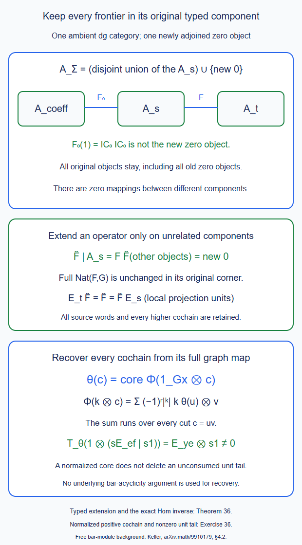 Each frontier keeps its own dg component; the unit functor from the coefficient component is retained, while the added literal zero object is separate. Full graph cochains are recovered at the universal identity.