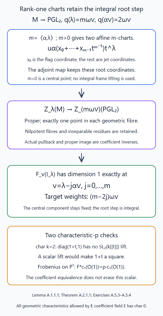 Shared rank-one root charts give a proper one-point-fibre coefficient comparison and retain the integral coroot step, with two characteristic-p checks