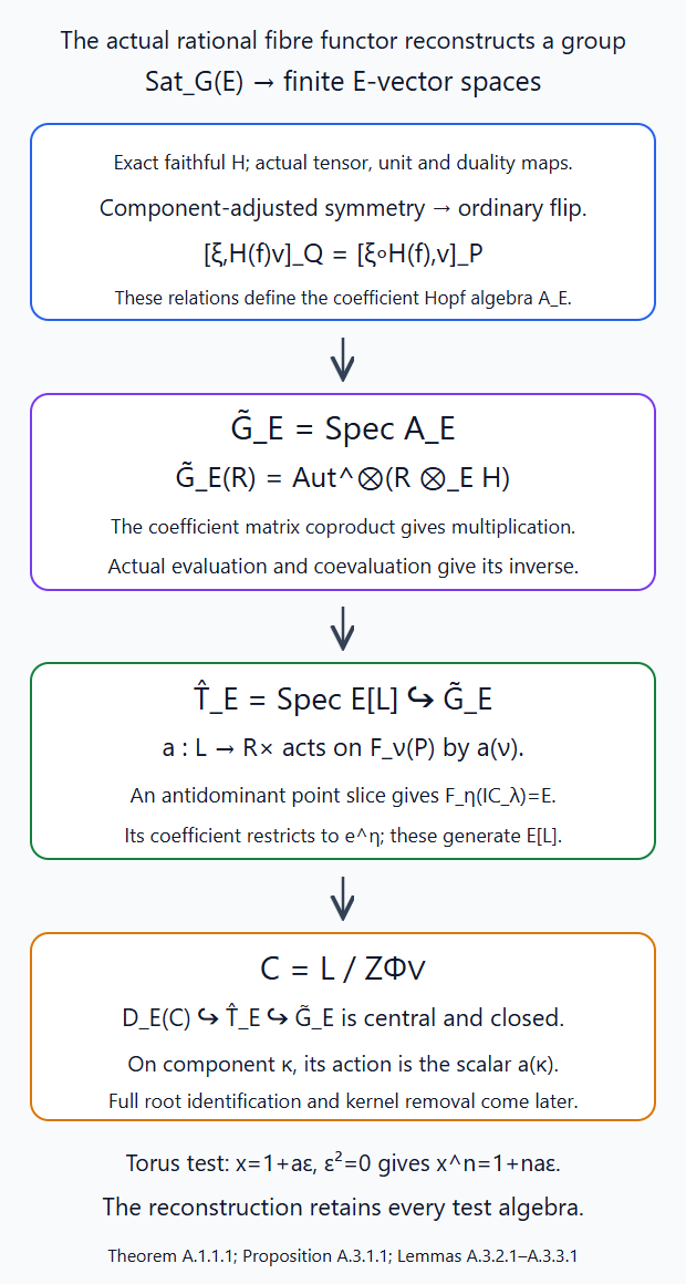 The actual symmetric fibre functor reconstructs a group on every test algebra and its weight and component actions give closed subgroups