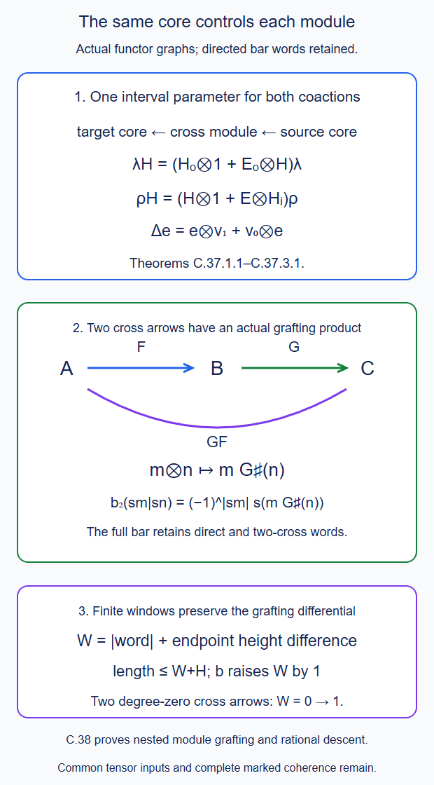 One interval parameter controls both source and target module coactions; a three-level functor graph retains the actual nested convolution product m G(n), its two-cross bar merge and the endpoint-height finite windows