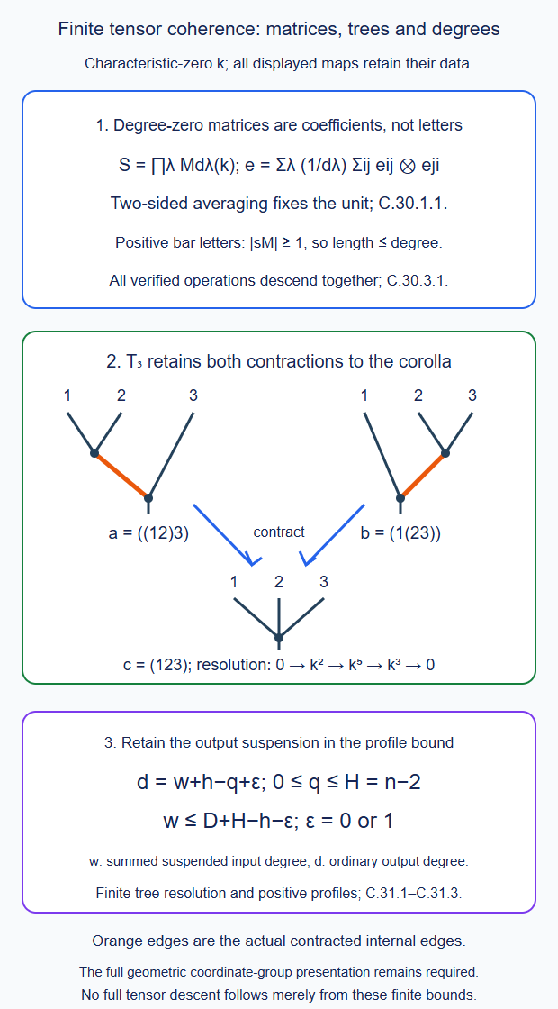 The relative degree-zero matrix algebra is separated from positive bar letters; the actual three-leaf trees contract to their common corolla; the finite diagram bound and output suspension determine the retained mapping profiles
