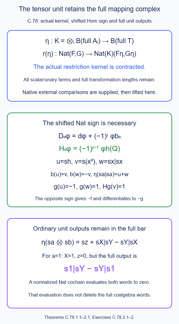 Full tensor-unit restriction has a contracted actual mapping kernel, with the shifted Nat sign and ordinary unit outputs kept in the exact tensor squares