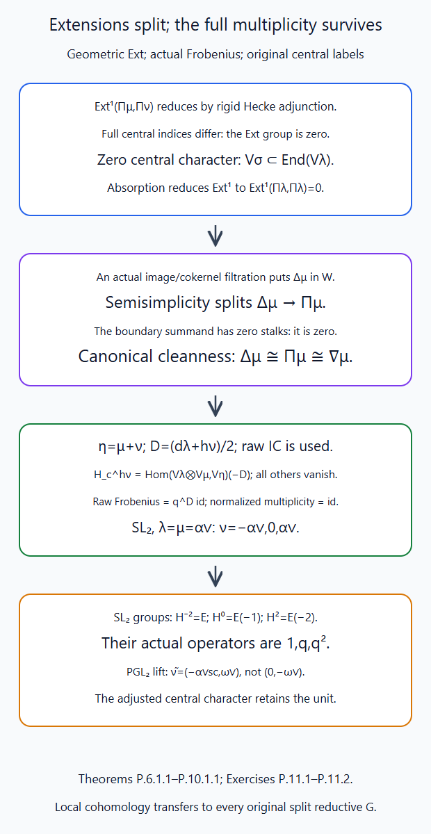Rigid adjunction and central absorption kill extensions; the actual filtration yields cleanness and the complete cohomology multiplicity