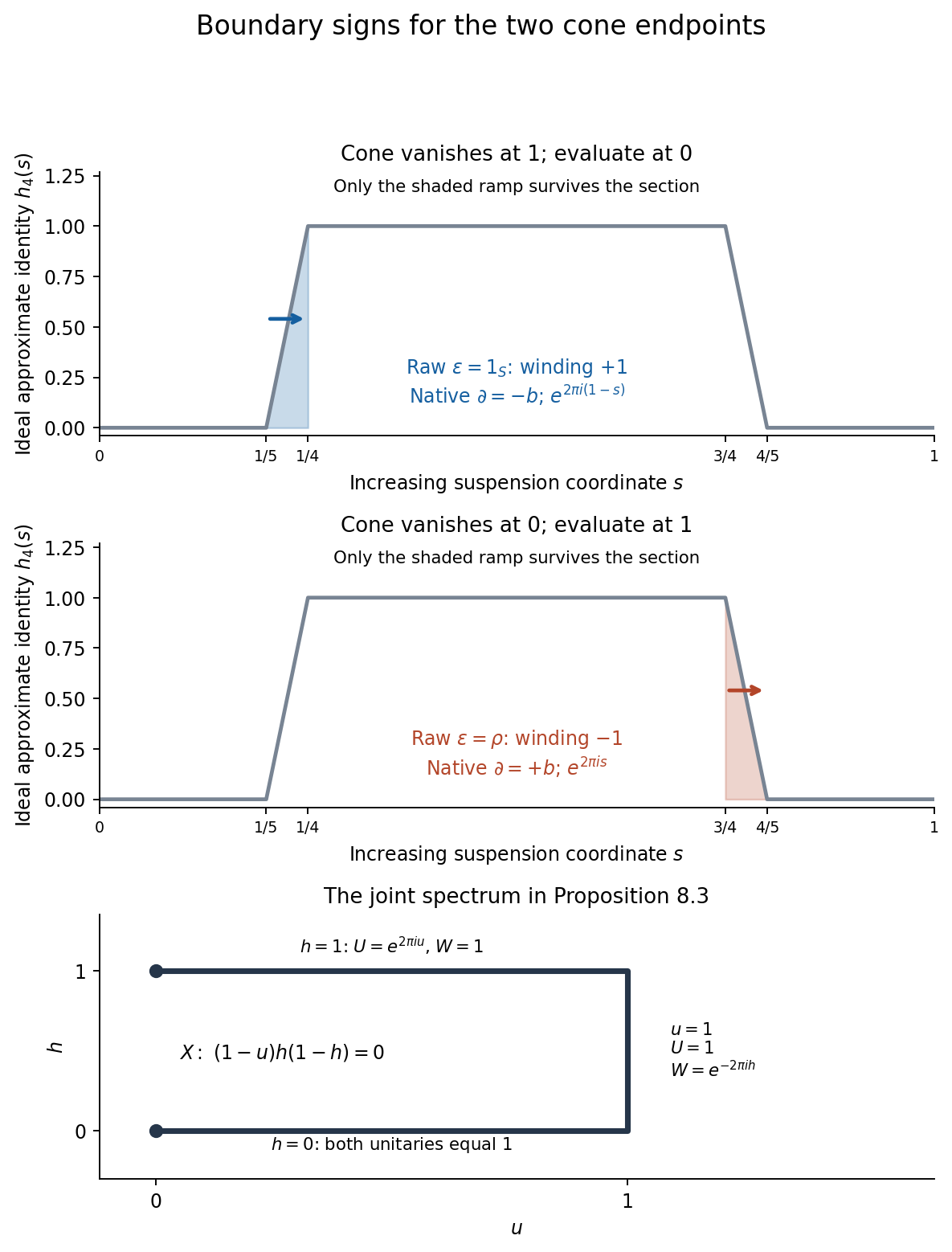 The two cone endpoints retain opposite ramps of the ideal approximate identity; their raw and native boundary signs are opposite. The three-edge joint spectrum controls the scalar exponential homotopy.