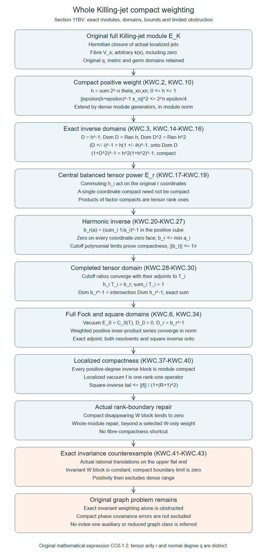 Whole-module compactness, tensor inverse domains and the invariant-weight counterexample