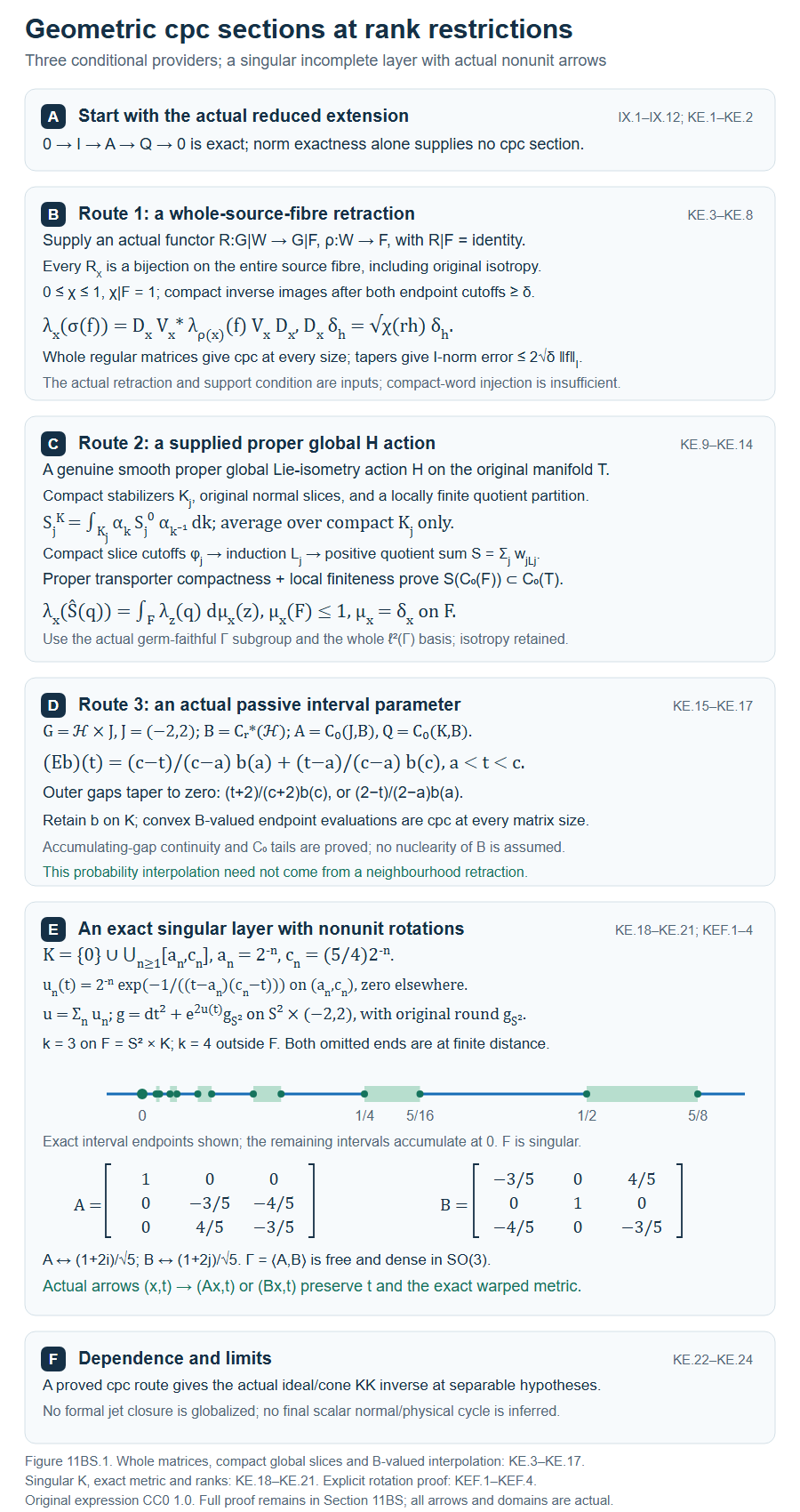 Geometric completely positive sections and singular rank restrictions