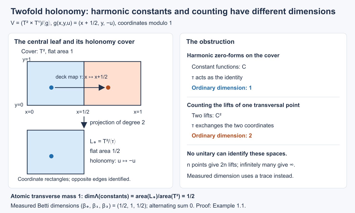 The twofold torus cover exchanges the two lifts of a transversal point, but fixes harmonic constants. Their dimensions are two and one; the measured dimension of constants is one half.