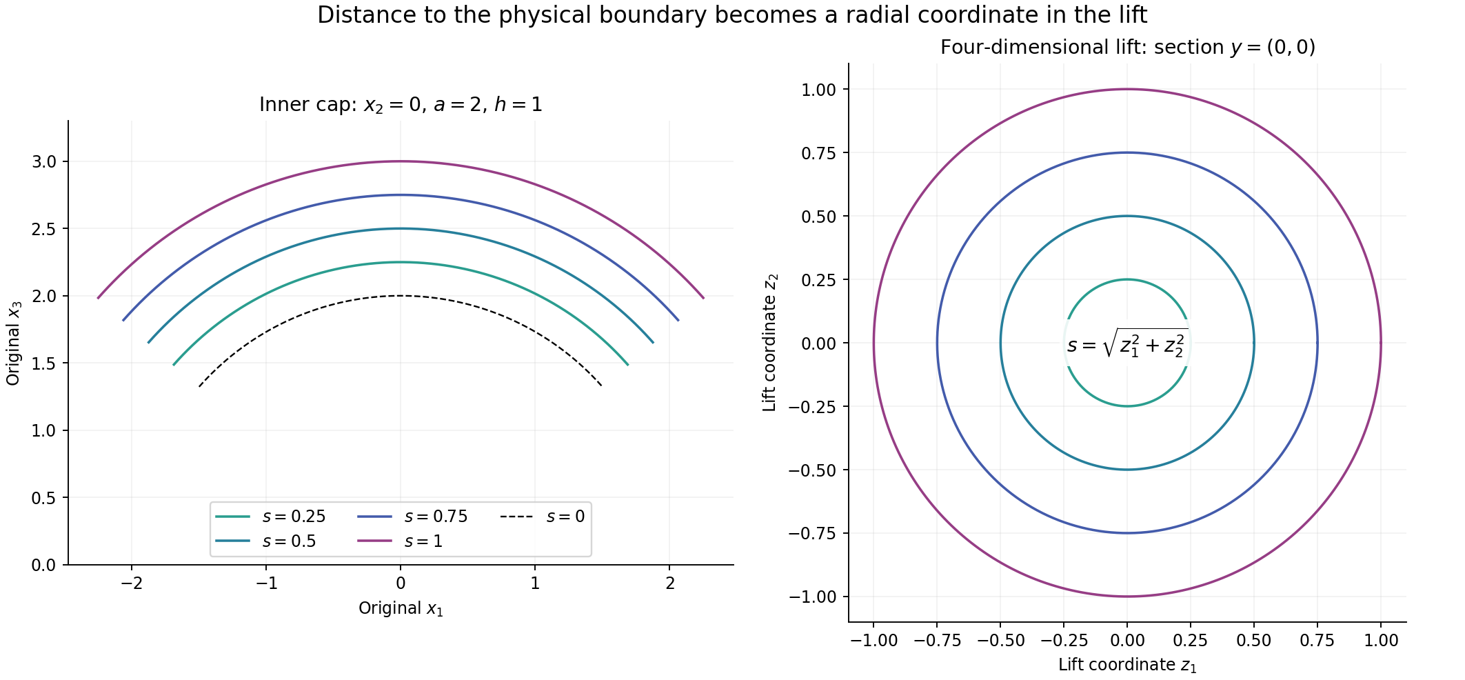 Exact physical boundary-cap section and radial section of the four-dimensional lift